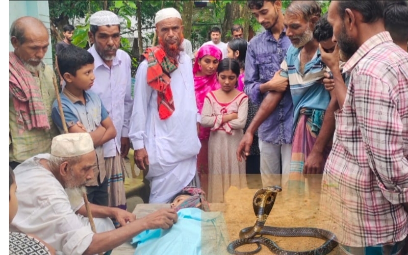 যশোরে বিষধর সাপের কামড়ে ৬ষ্ট শ্রেণীর এক কিশোরের মৃত্যু