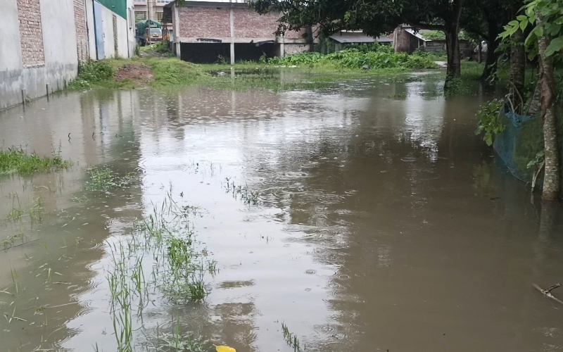 বেনাপোল পৌরসভার চার নম্বর ওয়ার্ড বরাবরই উপেক্ষিত!