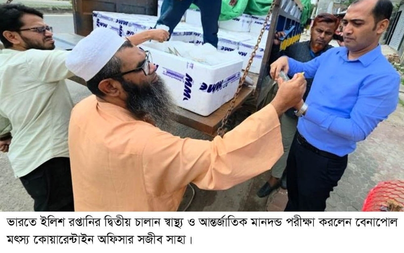 ভারতে দ্বিতীয় চালানে প্রায় ১৯ টন ইলিশ পৌঁছাল